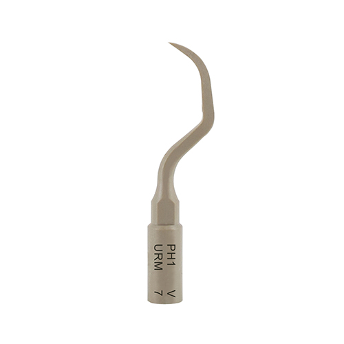 Acteon Inserto PH1