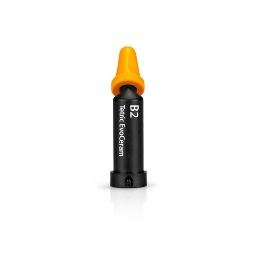 Tetric EvoCeram Cavifil B2