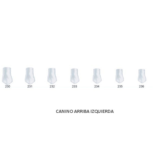 Corona acetato Frasaco canino superior izquierda Nº 232