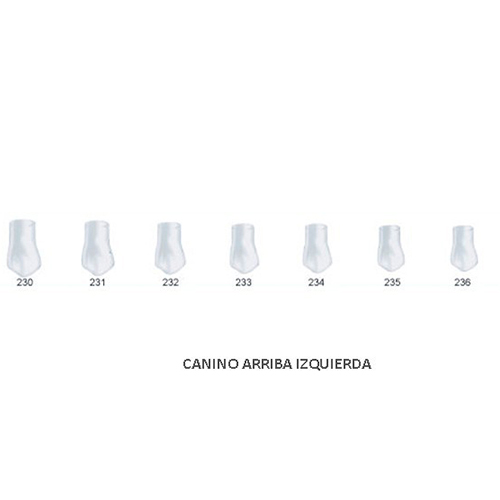 Corona acetato Frasaco canino superior izquierda Nº 231