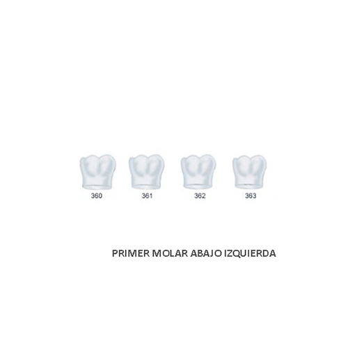 Corona acetato Frasaco molar inferior izquierda Nº 362