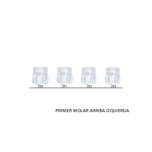 Corona acetato Frasaco molar superior izquierda Nº 263