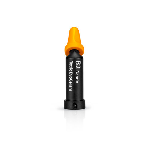 Tetric EvoCeram Cavifil B2 Dentina