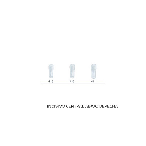 Corona acetato Frasaco incisivo central inferior derecha Nº 413