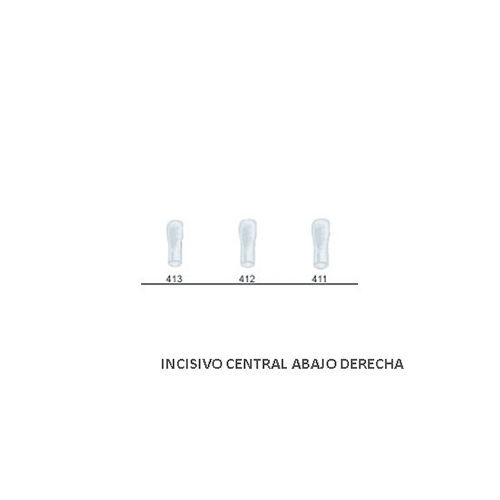 Corona acetato Frasaco incisivo central inferior derecha Nº 412