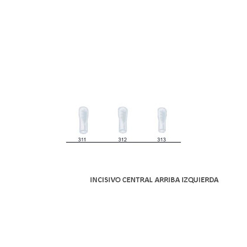 Corona acetato Frasaco incisivo central inferior izquierda Nº313