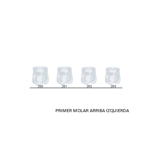 Corona acetato Frasaco molar superior izquierda Nº 260