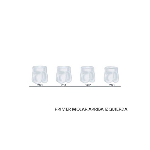 Corona acetato Frasaco molar superior izquierda Nº 261