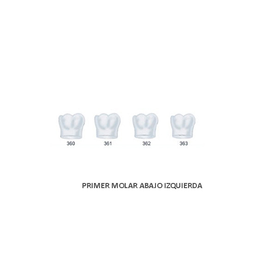 Corona acetato Frasaco molar inferior izquierda Nº 360