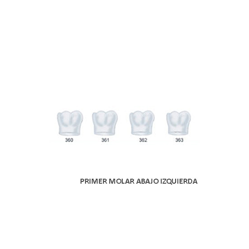 Corona acetato Frasaco molar inferior izquierda Nº 361