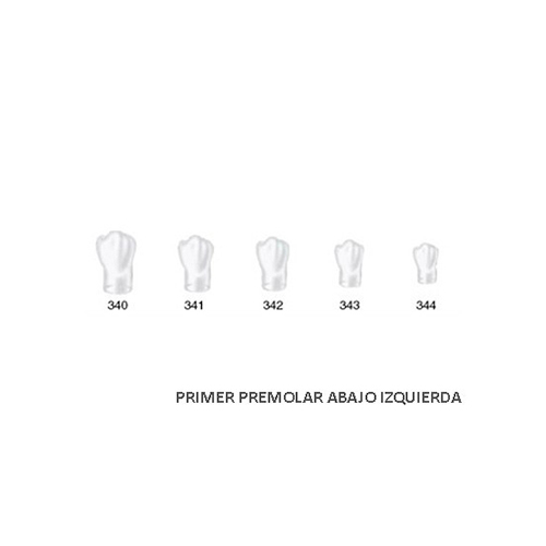 Corona acetato Frasaco bicúspide inferior izquierda Nº 342