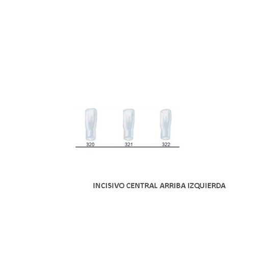 Corona acetato Frasaco incisivo lateral inferior izquierda Nº320