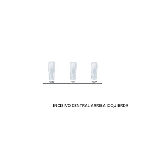 Corona Acetato Frasaco Incisivo Lateral Inferior Izquierda Nº322