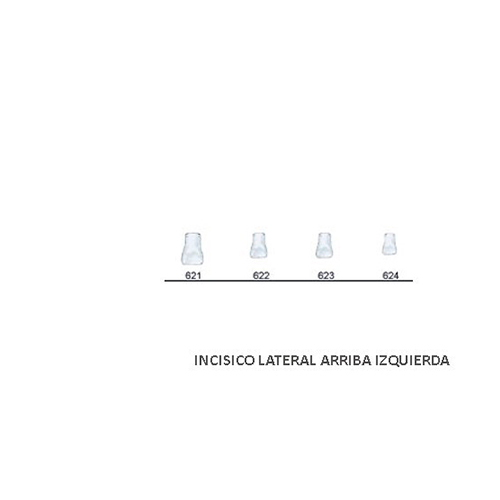 Corona acetato Frasaco pediátrica incisivo lateral sup izq Nº621