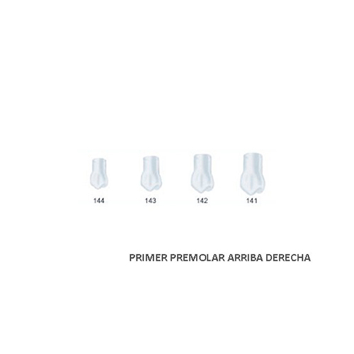 Corona acetato Frasaco bicúspide superior derecha Nº 141