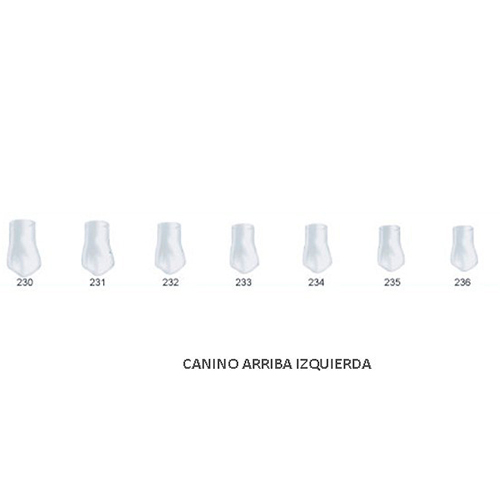 Corona acetato Frasaco canino superior izquierda Nº 233