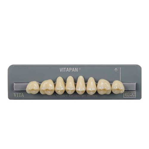 Vitapan Posterior Superior B2 40C