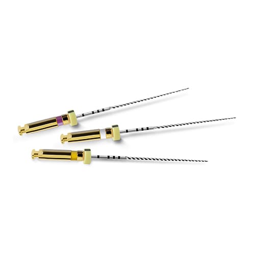 Limas Pathfile Maillefer 21mm 013