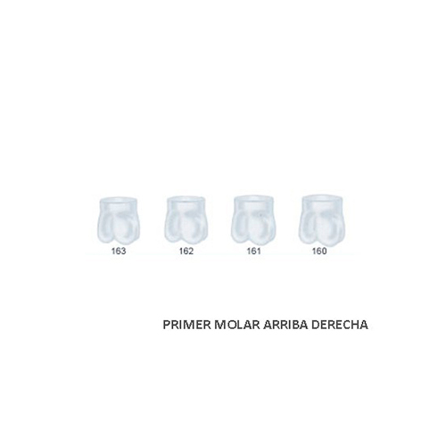 Corona acetato Frasaco molar superior derecha Nº 162