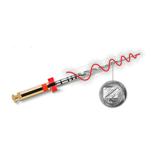Limas Protaper Next 21mm X3