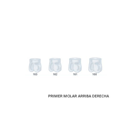 Corona acetato Frasaco molar superior derecha Nº 161