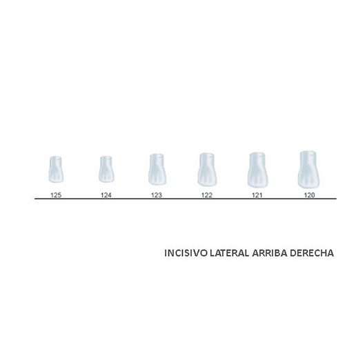 Corona acetato Frasaco incisivo lateral superior derecha Nº 120