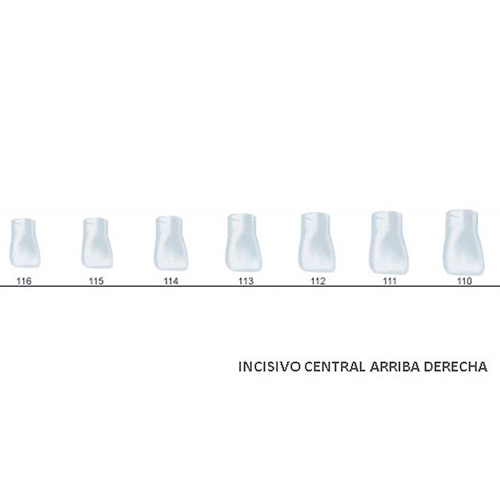 Corona acetato Frasaco incisivo central superior derecha Nº 110