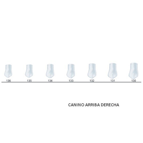 Corona acetato Frasaco canino superior derecha Nº 130