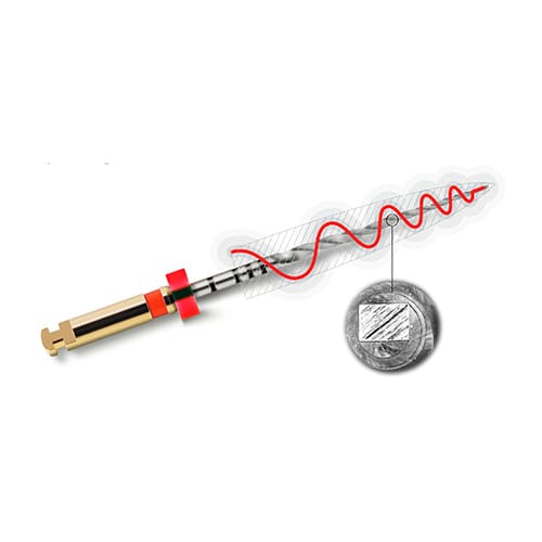Limas Protaper Next 19mm XA