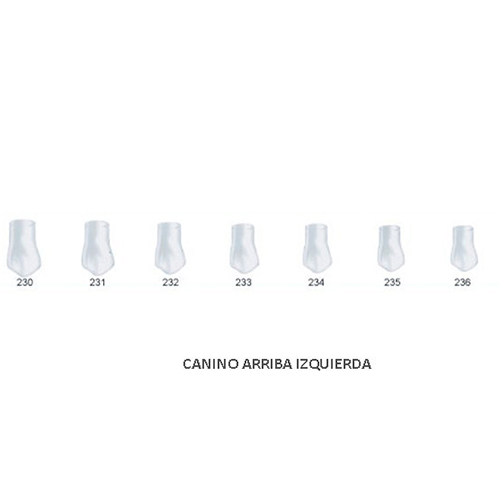 Corona acetato Frasaco canino superior izquierda Nº230 