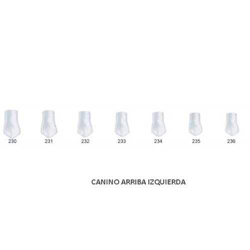 Corona acetato Frasaco canino superior izquierda Nº234 