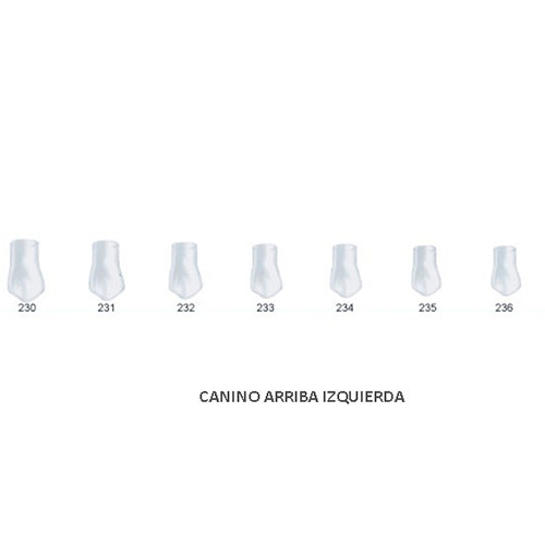 Corona acetato Frasaco canino superior izquierda Nº235 
