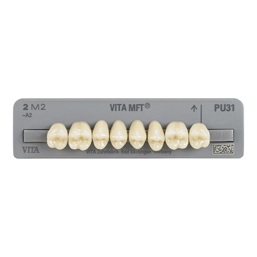 MFT Posterior Superior B4 PU29