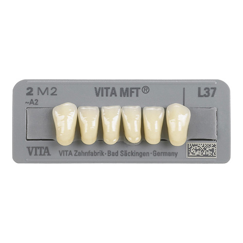 MFT Anterior Inferior B1 L33