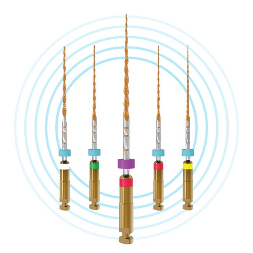 Limas B5 One Reci 21mm N.25 6% MicroMega