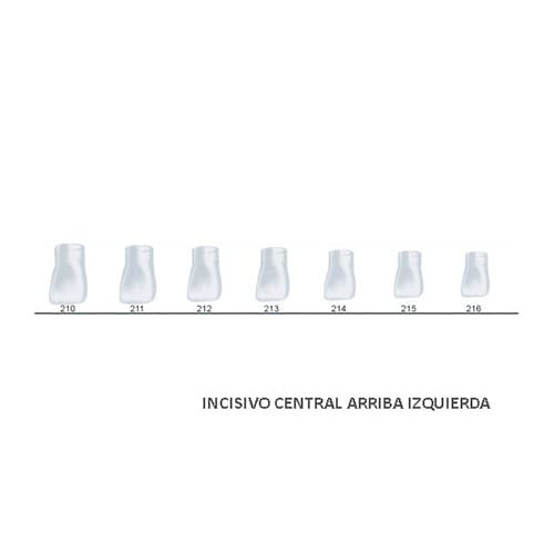 Corona acetato Frasaco incisivo central superior izquierda Nº214