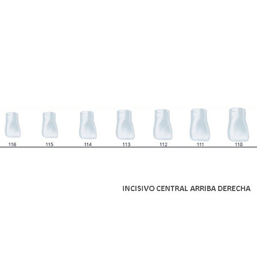 Corona acetato Frasaco incisivo central superior derecha Nº 111