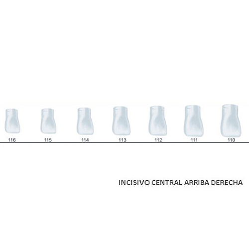 Corona acetato Frasaco incisivo central superior derecha Nº 112