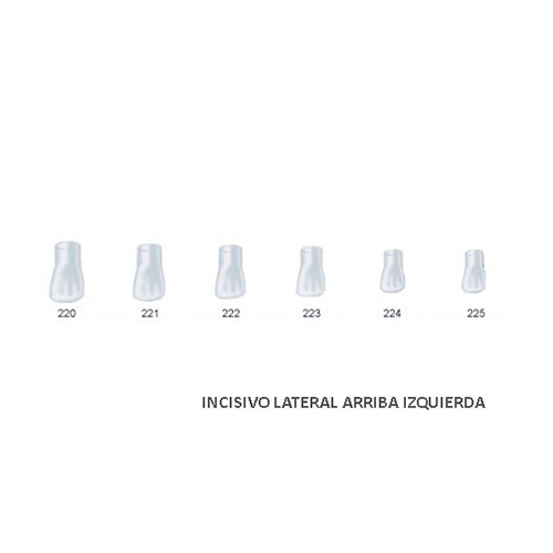 Corona acetato Frasaco incisivo lateral superior izquierda Nº223