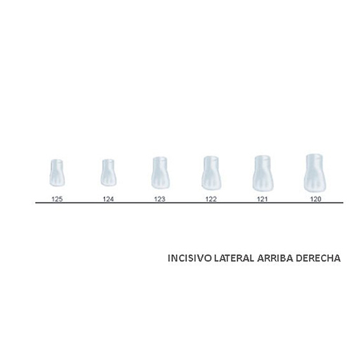 Corona acetato Frasaco incisivo lateral superior derecha Nº 121