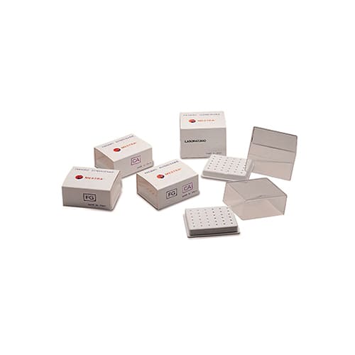 Fresero Mestra 070125