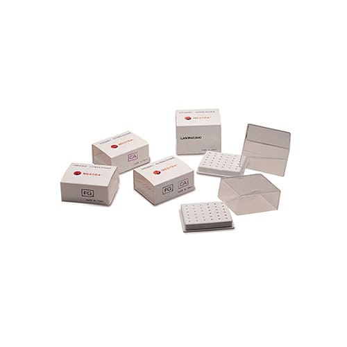 Fresero Mestra 070120
